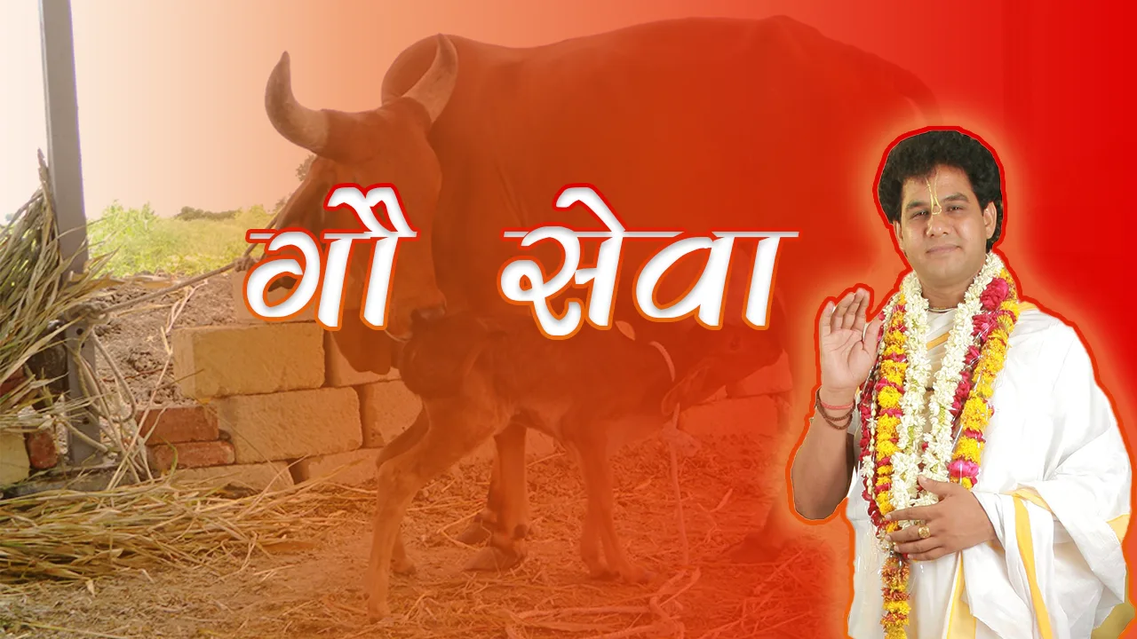 Gau Seva Manav Jagruti Sanstha